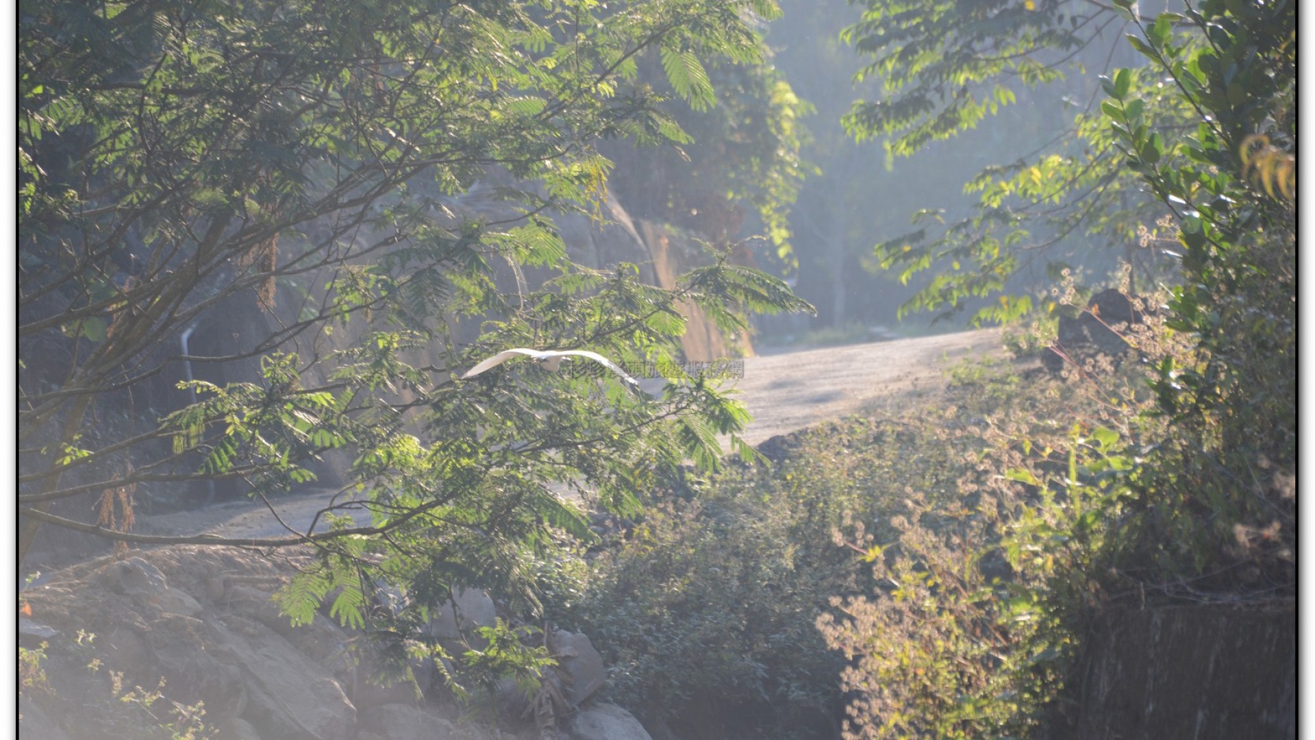 財仔溪-小半天旅遊景點