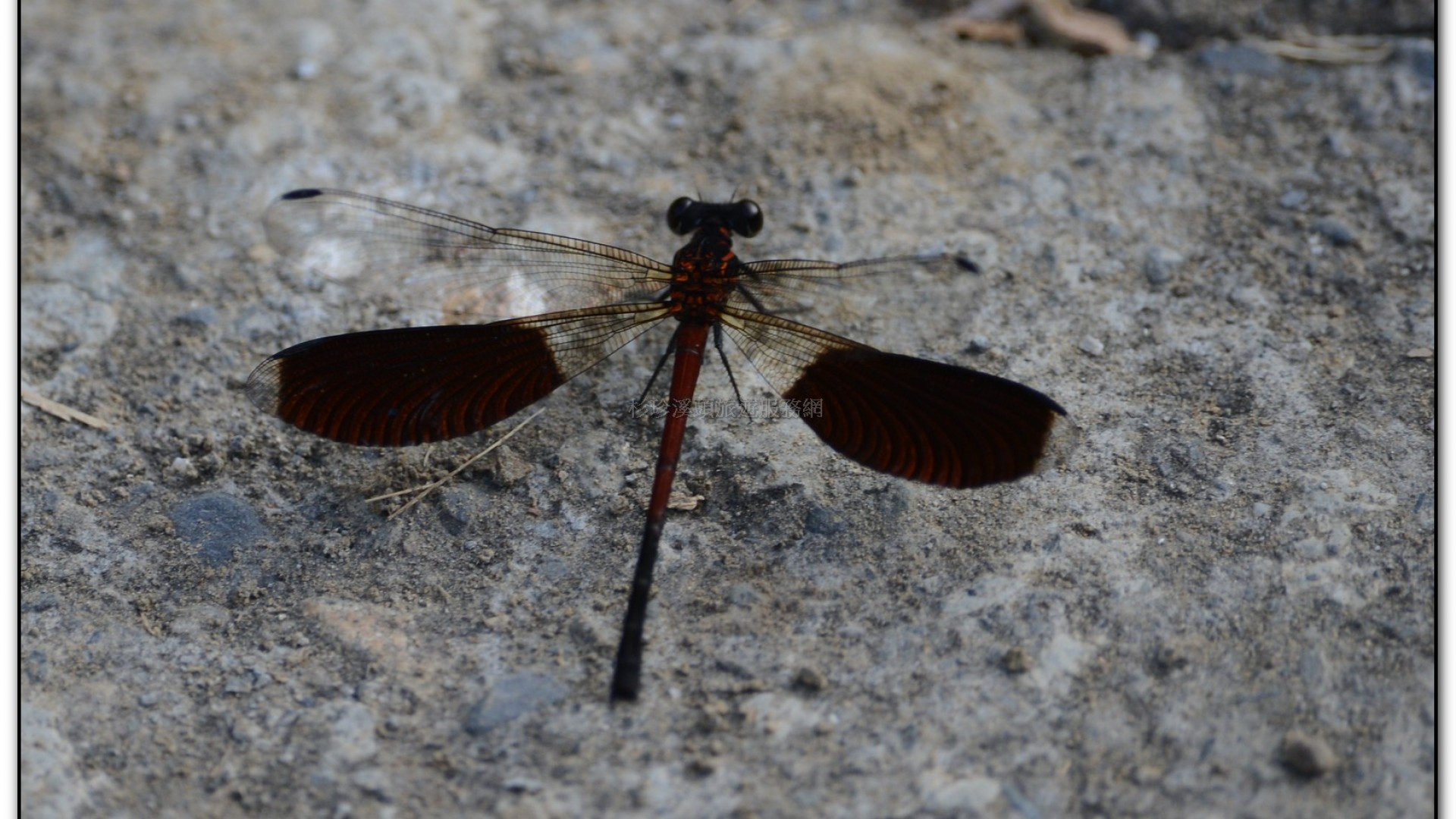 財仔溪-小半天旅遊景點