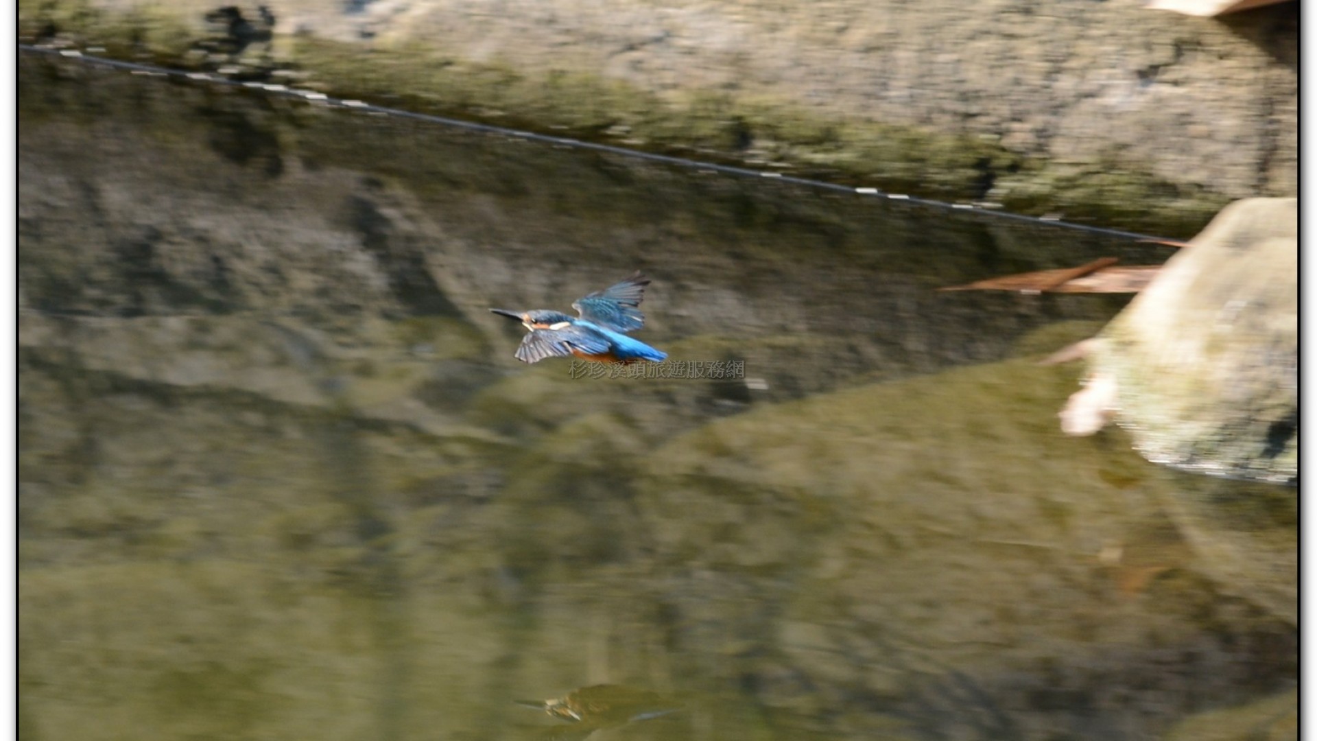 財仔溪-小半天旅遊景點