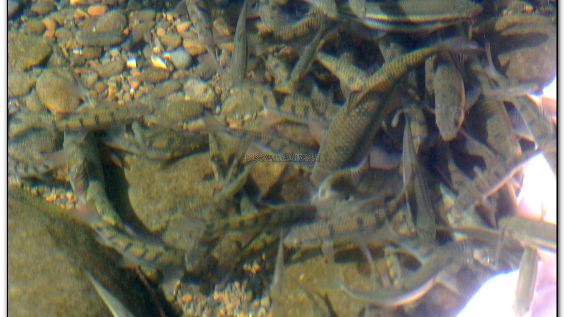 財仔溪-小半天旅遊景點