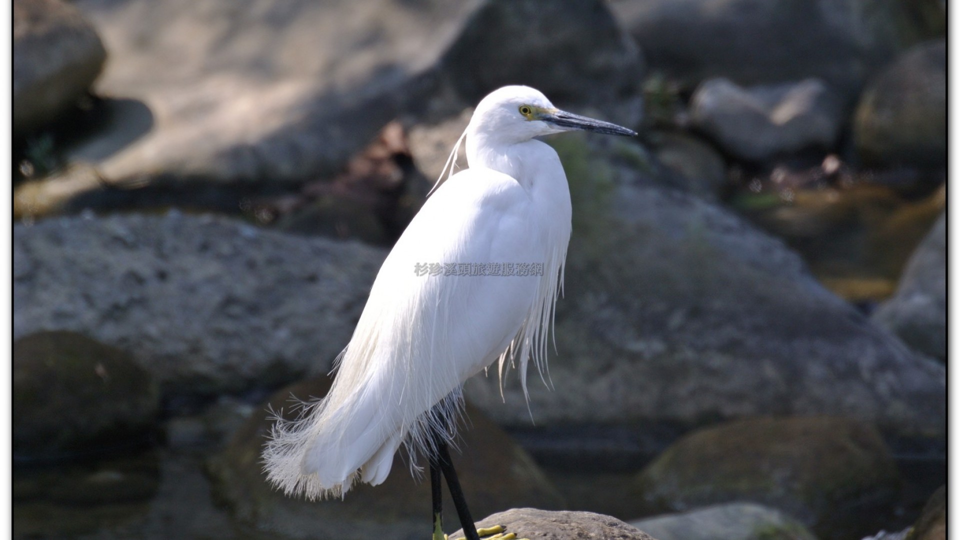 財仔溪-小半天旅遊景點