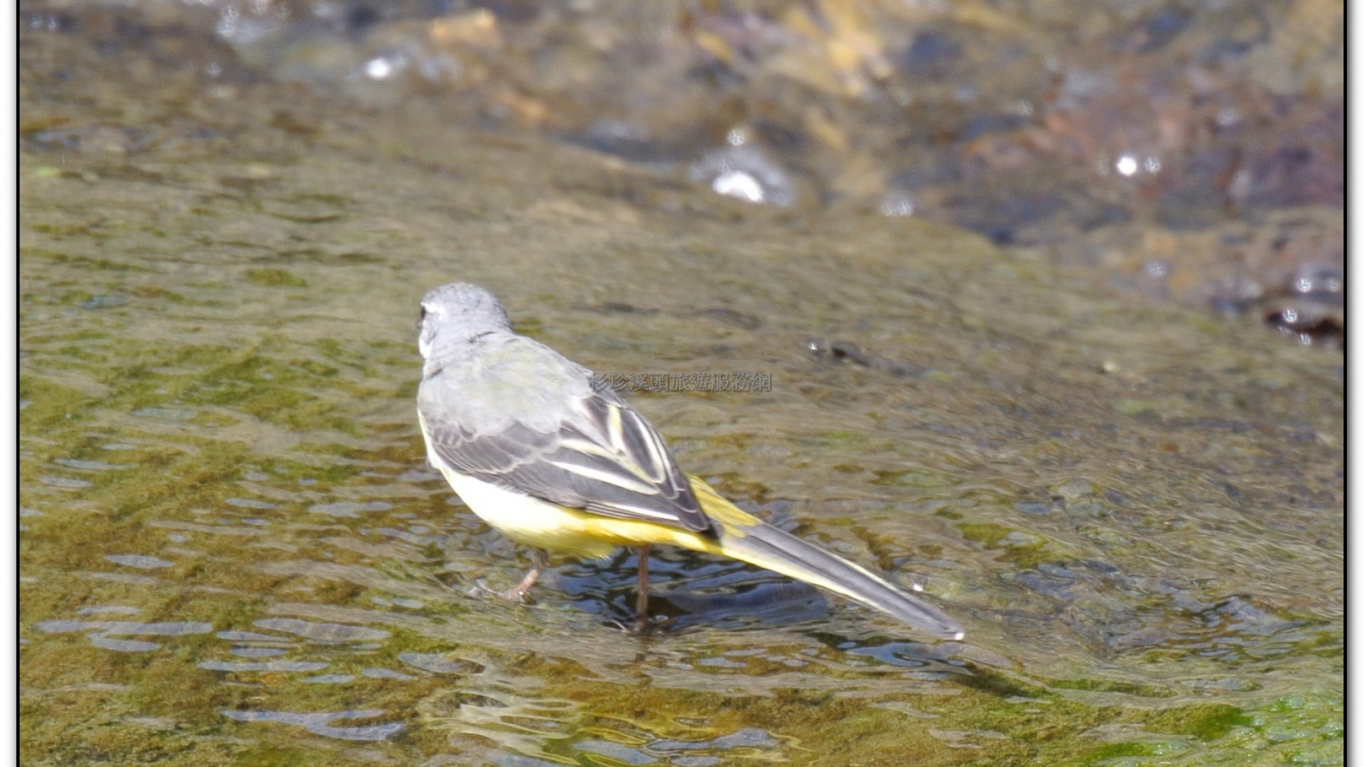 財仔溪-小半天旅遊景點