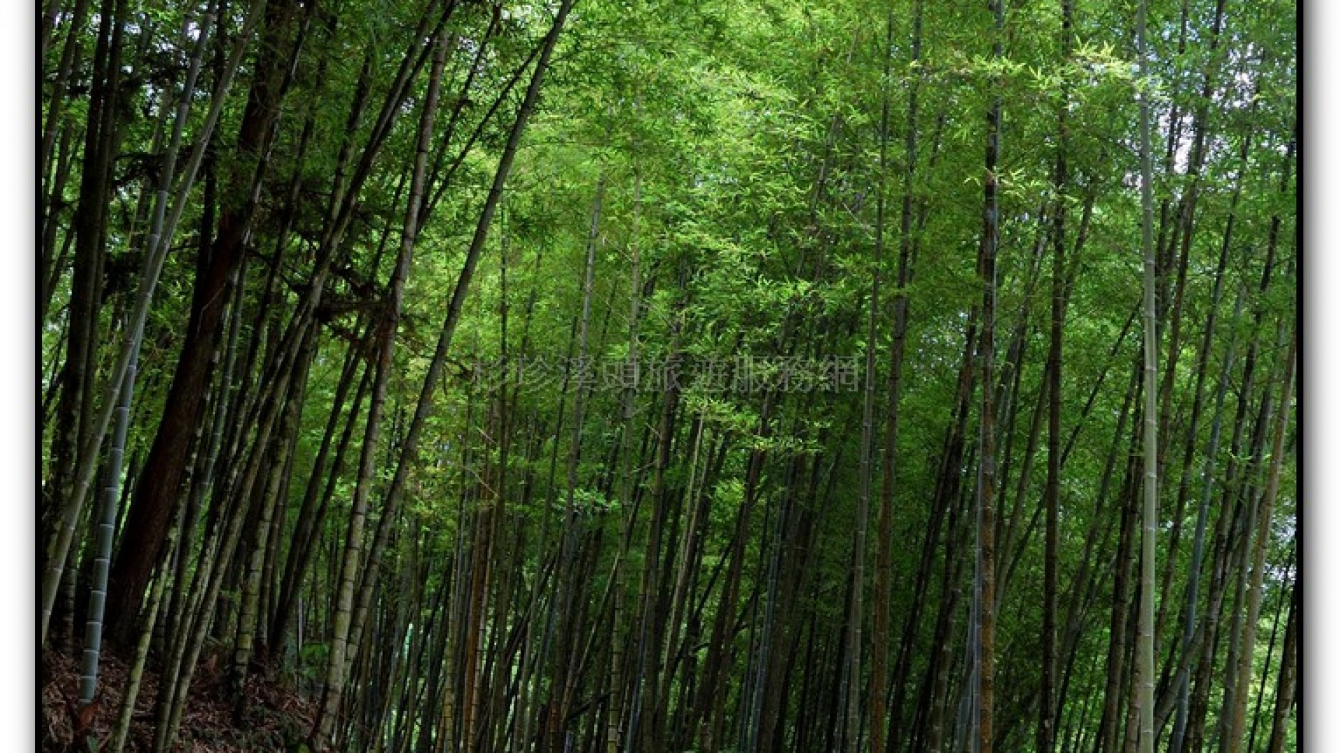 小半天瀑布-小半天旅遊景點