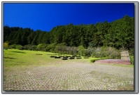 音樂草坪-溪頭旅遊景點