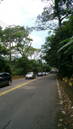 近期溪頭大塞車