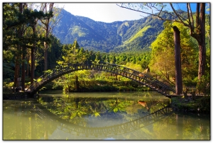 大學池-溪頭旅遊景點