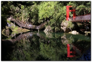 九九吊橋-杉林溪旅遊景點