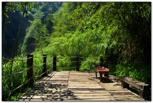 青龍瀑布-杉林溪旅遊景點