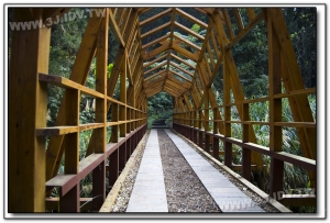森林探索-溪頭旅遊景點
