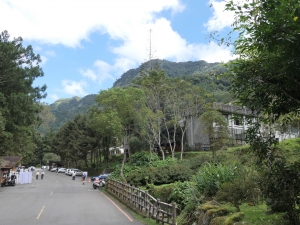 春節防塞車 溪頭下周三交管分流(建議租機車免塞車)