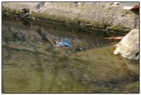 財仔溪-小半天旅遊景點