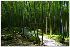 長源圳生態步道-小半天旅遊景點
