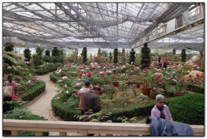 玻璃花坊-杉林溪旅遊景點