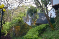 溪頭小半天聽濤園民宿住宿