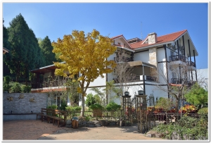 溪頭小半天仙知味民宿住宿