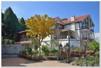 溪頭小半天仙知味民宿住宿