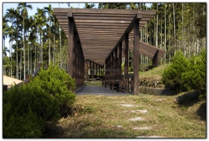 三生緣區-溪頭旅遊景點