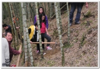 週末假日挖冬筍趣體驗活動2015/1/1開跑