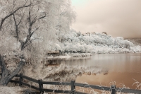 鹿谷地名的由來