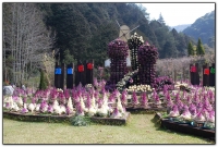 藥花園-杉林溪旅遊景點